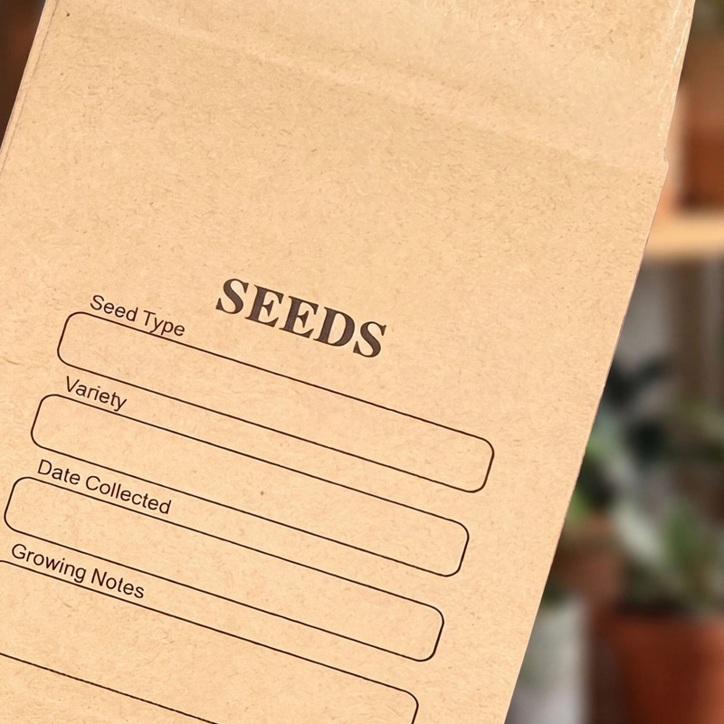 50 adet/grup Kraft Kağıt Zarf  - Letter Envelope Kraft incelemesi ve fiyatı